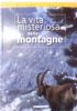 BIBBIA INGLESE VERSIONE KING JAMES DA COLLEZIONE. di 