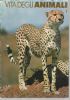 ANIMALI IN AMORE di 