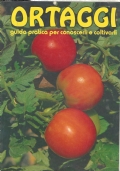Storia di San Paolo di 