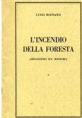 CONO D�OMBRA di 