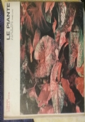 Gli insetti di 