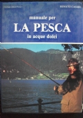 Meravigliosamente. Narrativa. Altri linguaggi attualit� di 