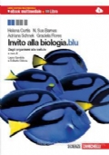 RACCONTAMI 1 + IL MITO E L�EPICA + IL MIO QUADERNO INVALSI 1 di 