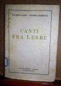 Amici allo spiedo di 