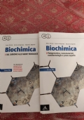 Il Cricco Di Teodoro 1 di 