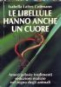 IL NOSTRO AMICO - Setter Irlandese di 
