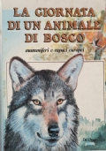 La giornata di un animale nel bosco: mammiferi e rapaci europei