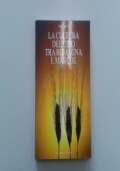DIZIONARIO DELLA CUCINA ROMAGNOLA di 