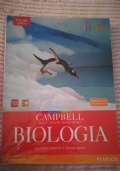 Quoziente mille di 