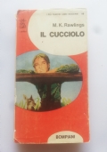 SAPERLA LUNGA di 