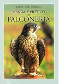 UNA NOTTE SENZA STELLE : SANDRO PERTINI UNA VITA PER LA DEMOCRAZIA di 