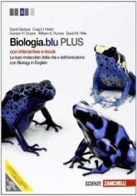 Grammar Files Blue Edition di 