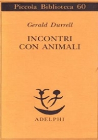 David Golder di 
