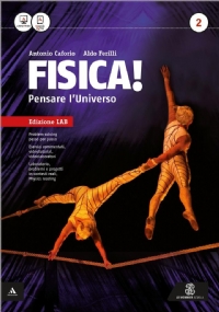 FISICA LE REGOLE DEL GIOCO cod.9788800222709 di 