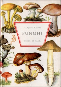 Insetti di 