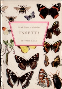 Uniformi di tutto il mondo di 