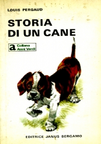 Gli angeli di 