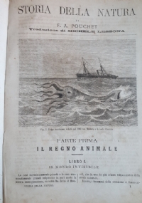 Regole ed osservazioni della lingua toscana ridotte a metodo di 