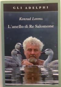 The Appeal di 