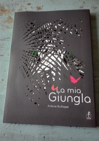 Mi piaci ( quasi sempre ) di 