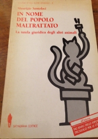 sette vite un anno in una famiglia di gatti di 