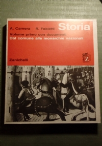 Marginalit� e lotte dei marginali di 