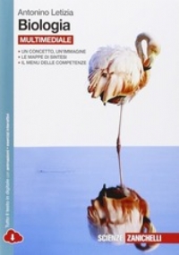 La matematica a colori. Ediz. gialla. Con e-book. Con espansione online. Vol. 1 di 