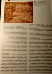 Arca 1 vol.1 di 