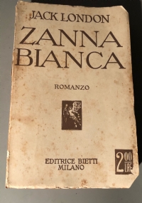 il futuro della citt�-slow-fast La luce di 