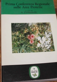 Environmental Planning for Children�s Play di 