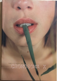 Cromosoma X