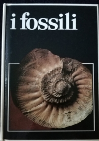 LIRICA DEL NOVECENTO di 