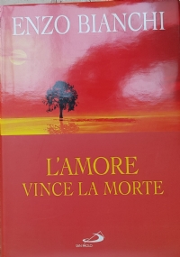 Le nude domande del vangelo di 