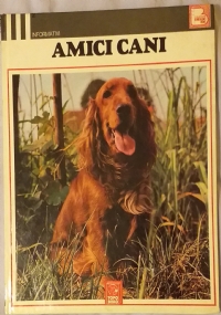 AMICI GATTI di 