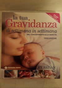 L�organizzazione aziendale del Fotolaboratorio di 