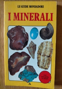 IL MOMENTO DI UCCIDERE di 