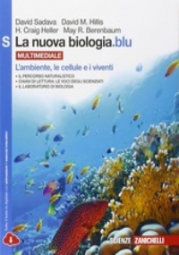 Il Cricco di Teodoro. Itinerario nell�arte. Ediz. gialla. Con DVD-ROM. Con espansione online. Vol. 3: Dal gotico internazionale al manierismo. di 
