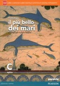 L&rsquo;arte svelata vol. C di 