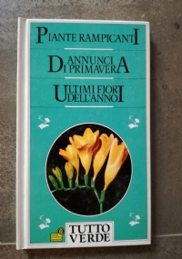 Fiori delle aiole - Piante da bordura di 