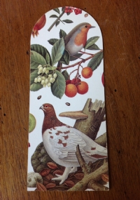 ROMAGNA MEDICA BOLLETTINO DELLA SOCIETA� MEDICO CHIRURGICA DELLA ROMAGNA di 