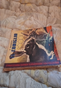 Piccioni domestici e colombicoltura di 