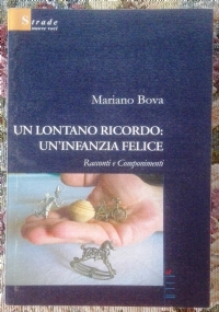 Una vita meravigliosa ( di Beatrice Sensini Romanzo ) di 