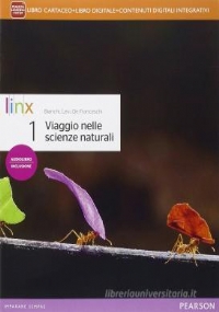Dossier arte plus. Volume 2: Dal Paleocristiano al Gotico internazionale. Con e-book. Con espansione online. di 