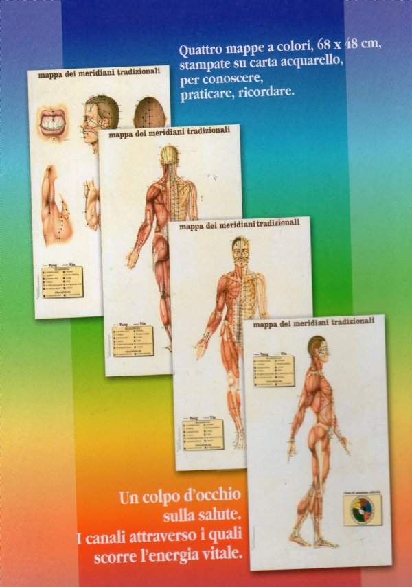 Meridiani tradizionali. Per praticare l’agopuntura, l’agopressione, il micromassaggio, la moxa, lo shiatsu, il do-in di PICCIOLI D. DE MARIA S.