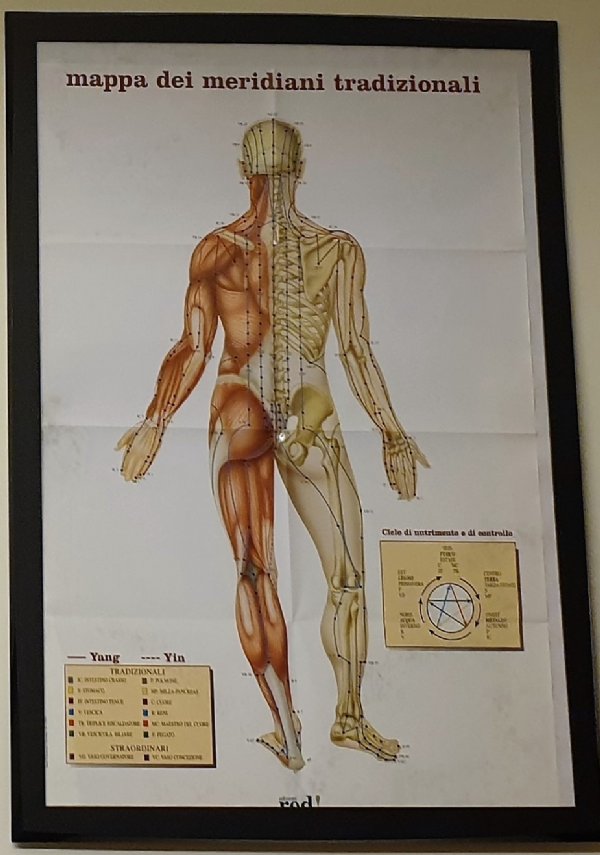 Meridiani tradizionali. Per praticare l’agopuntura, l’agopressione, il micromassaggio, la moxa, lo shiatsu, il do-in di PICCIOLI D. DE MARIA S.