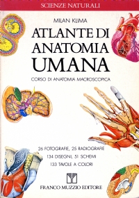 How to get more out of sex di 