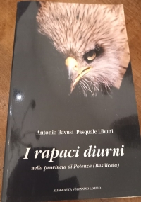 sulle orme dell�orso uno studio sull�orso bruno del trentino di 