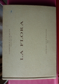 La vispa Liu&rsquo; di 