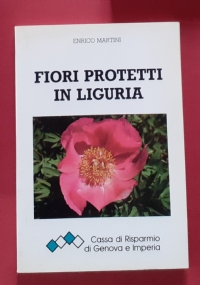 Senza famiglia (Remi) di 