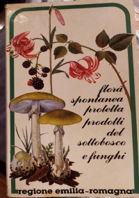 Prima che il gallo canti di 